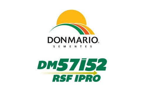 SEMENTE DE SOJA DM 57I52 RSF IPRO - Big bag